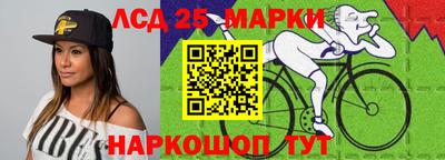 стафф Гатчина