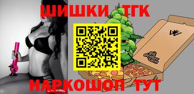 стафф Гатчина
