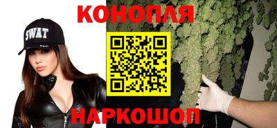стафф Гатчина