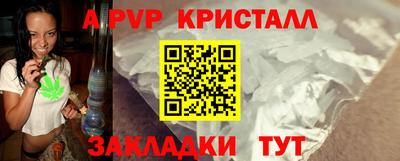 стафф Гатчина