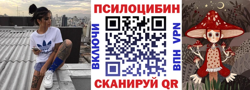 Псилоцибиновые грибы ЛСД  сайты даркнета наркотические препараты  Ноябрьск 