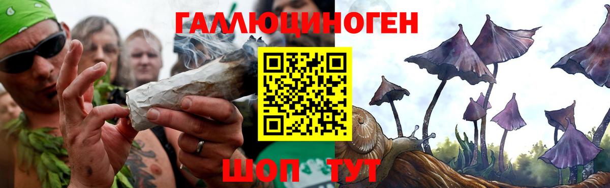 Ноябрьск  Псилоцибиновые грибы Psilocybine cubensis  Вход с VPN  Псилоцибиновые грибы ЛСД 
